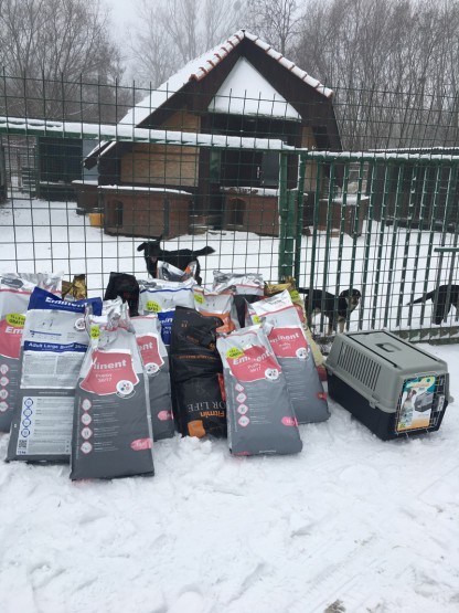 Spendenaufruf beendet - Die Hunde hatten kaum mehr Futter: auch Weihnachten 2017 brauchte das Tierheim Vranov in der östlichen Slowakei wieder dringend Unterstützung
