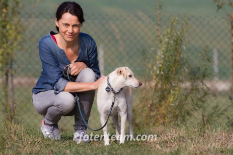 Labrador Retriever, MischlingTierheim, Tierschutz Labrador Retriever, Mischlingim Tierheim - Sina