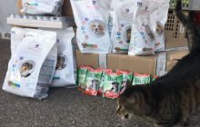 Futterspenden für die Hunde der Obdachlosen in Mulhouse - Trocken- und Nassfutter für die treuen Begleiter auf vier Pfoten