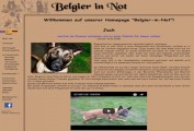 Belgier in Not - Vermittlungshilfe für belgische Schäferhunde
