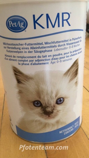 Kittenmilchpulver - hoher Fettgehalt ist wichtig