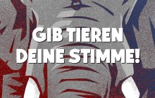 Der letzte Auftritt - Petition für ein Wildtierverbot in deutschen Zirkussen