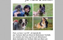 Sonntag 29.9.2013: Herbstfest im Tierheim Weil am Rhein mit Pfotenteam Stand und Fotoshooting für Hund & Mensch
