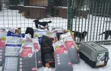 Spendenaufruf beendet - Die Hunde hatten kaum mehr Futter: auch Weihnachten 2017 brauchte das Tierheim Vranov in der östlichen Slowakei wieder dringend Unterstützung