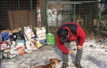 Unser Futterspende für das Tierheim in Vranow, Slowakei, ist angekommen