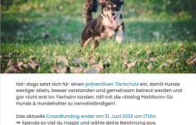 Crowdfunding Plattform Fair-Dogs.com für präventiven Tierschutz. Damit weniger Hunde in's Tierheim müssen