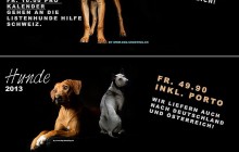 Hundekalender 2013 von Nicole Hollenstein - jetzt bestellen und 10,- CHF an Pfotenteam spenden!