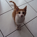 Milo
