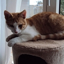 Milo
