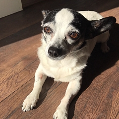Luna