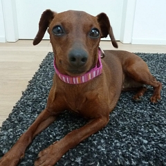 Lena