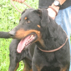 Samy