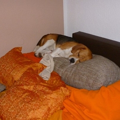 11 Monate mit Eddy