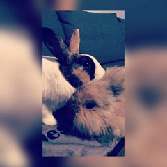 Rosinchen und Max - vom ersten Tag an verliebt!