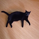 Carlos
