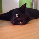 Carlos