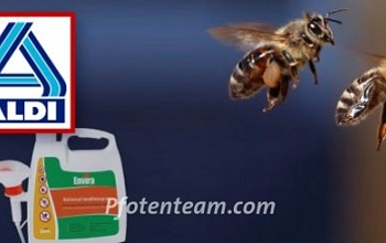 Tod vom Discounter – Aldi verkauft Insektengift