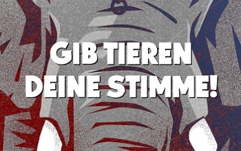 Der letzte Auftritt - Petition für ein Wildtierverbot in deutschen Zirkussen