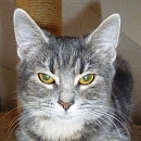 Bonita