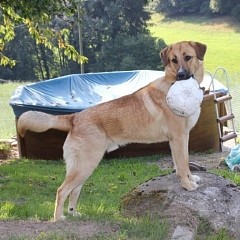 Nando 1 Jahr alt geworden!!