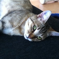 Masha ein richtiger Schatz!