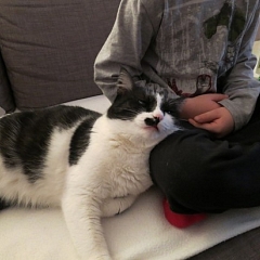 Shunja ist ein Teil von uns :)