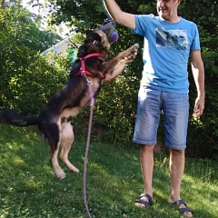 Ruffy - immer sportlich unterwegs