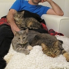 Kiss und Chicca sind im Paradies
