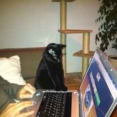 Gracie bei der Internetrecherche ...
