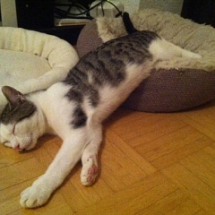 Jemy hat sich zum Schleckermaul entwickelt