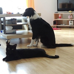Cherry und seine neue Freundin!