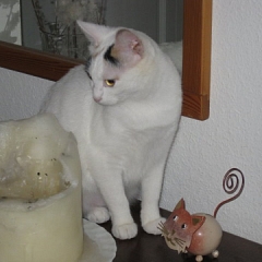 Lynn und Mimi (neu Milene und Toulouse)