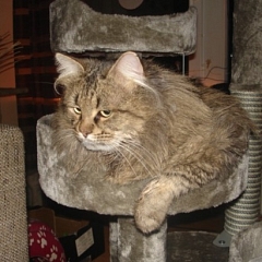 Erste Bilder vom grossen Leonardo...