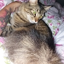 Kimba - das Sockenmonster