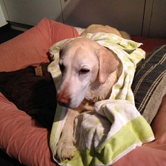 Amelie geht es wieder sehr gut