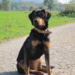 Fenji ist topfit