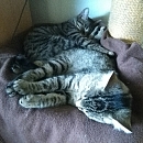 Maja ( und Lilly)