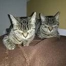 Maja ( und Lilly)