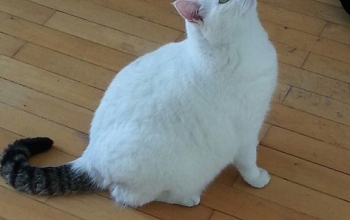 Unser schwergewichtiger Neuzugang: Felix