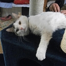 Jasper