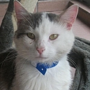 Jasper