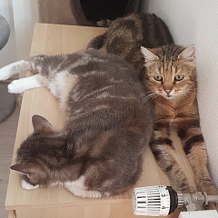 Anna und Jimmy