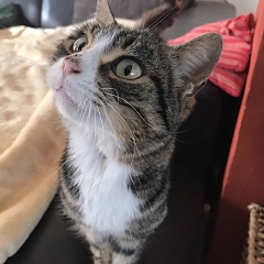 Mindy