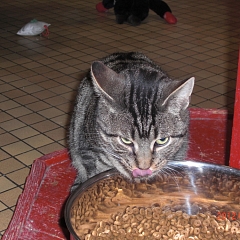 George