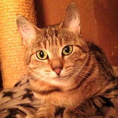 Emilie