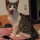 Diego