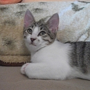 Diego
