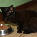 Zoe Zaubermaus