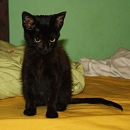 Zoe Zaubermaus