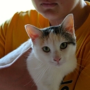 Emmy